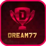 dream 77